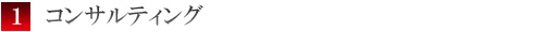 コンサルティング